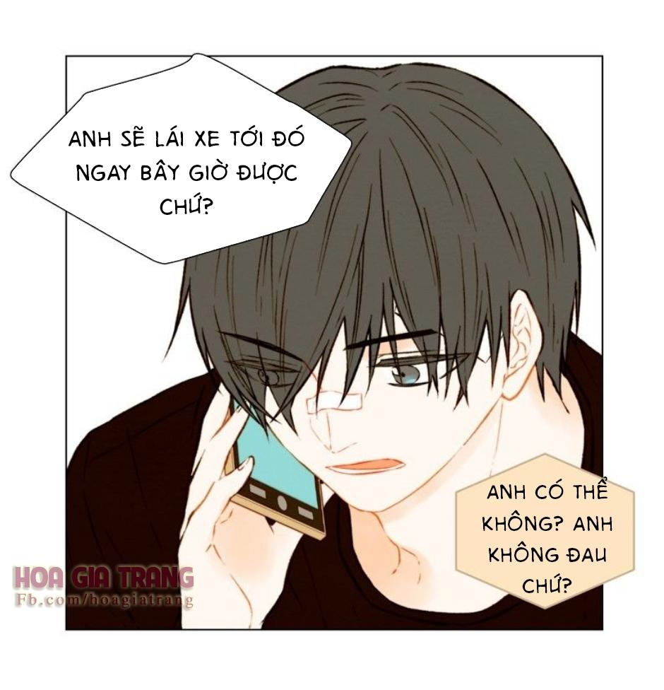 sao chép chapter 41 47