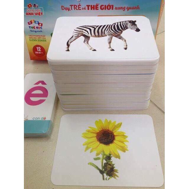 Thẻ Học Thông Minh,Thẻ Học Flashcards Song Ngữ Chủ Đề Động Vật Dưới Nước