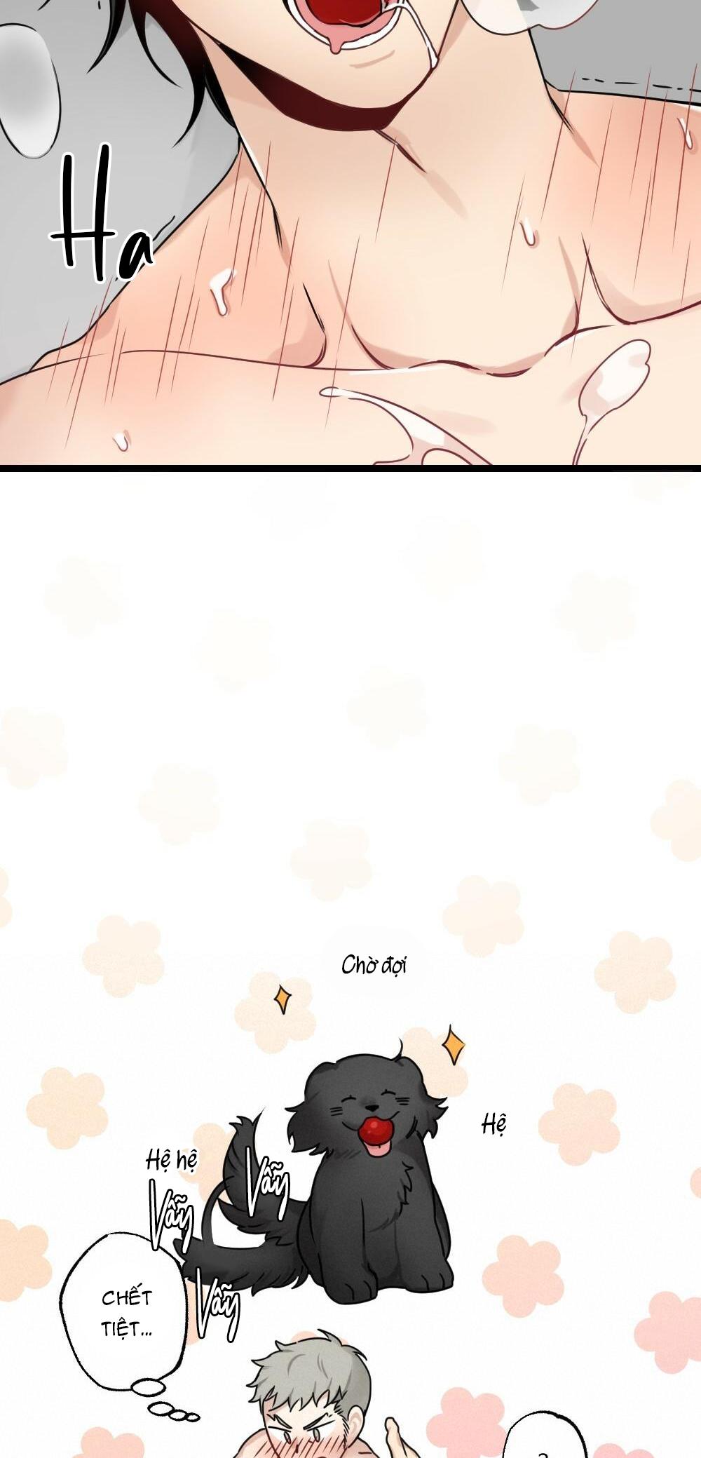 chăm sóc chapter 23 6