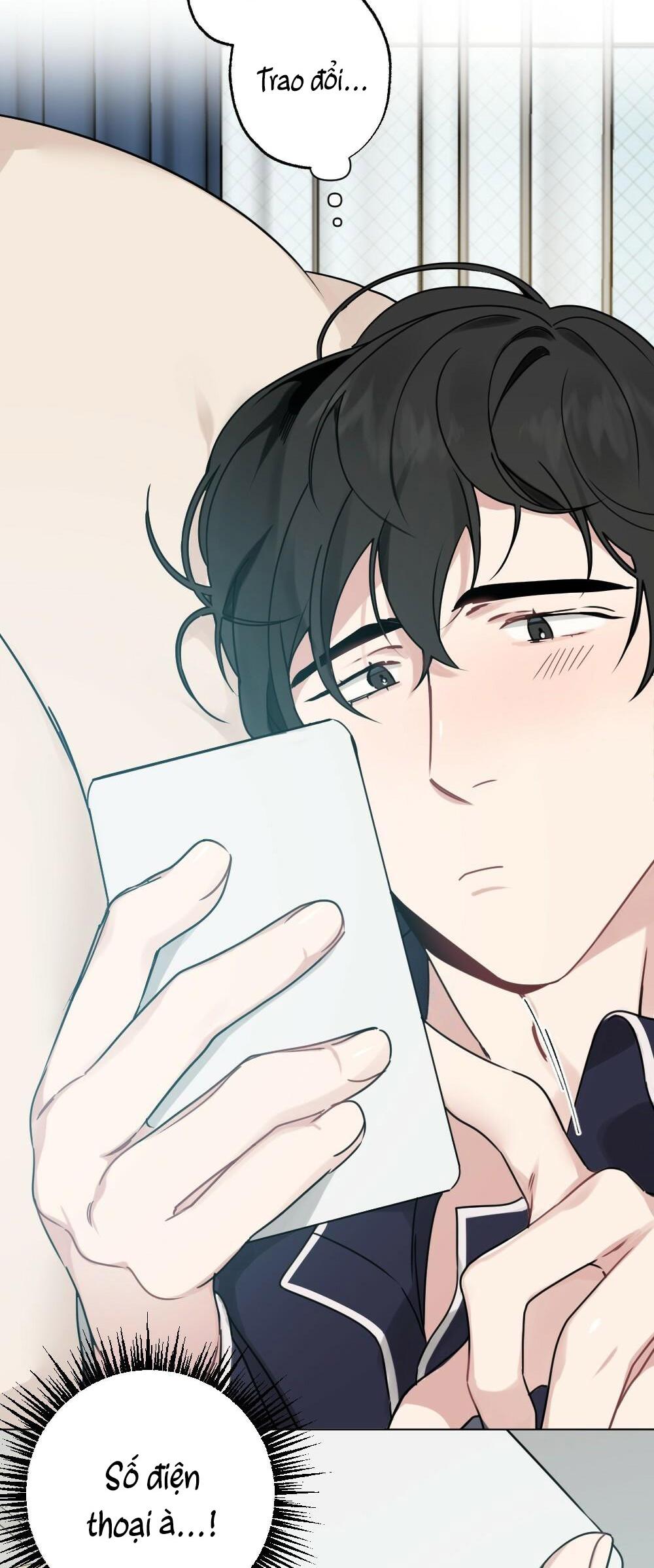 chăm sóc chapter 28 2