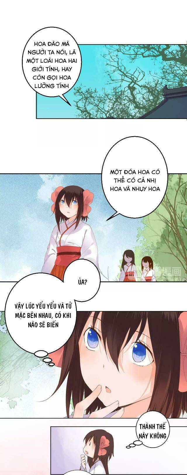 đốt đào hoa chapter 61.1 4