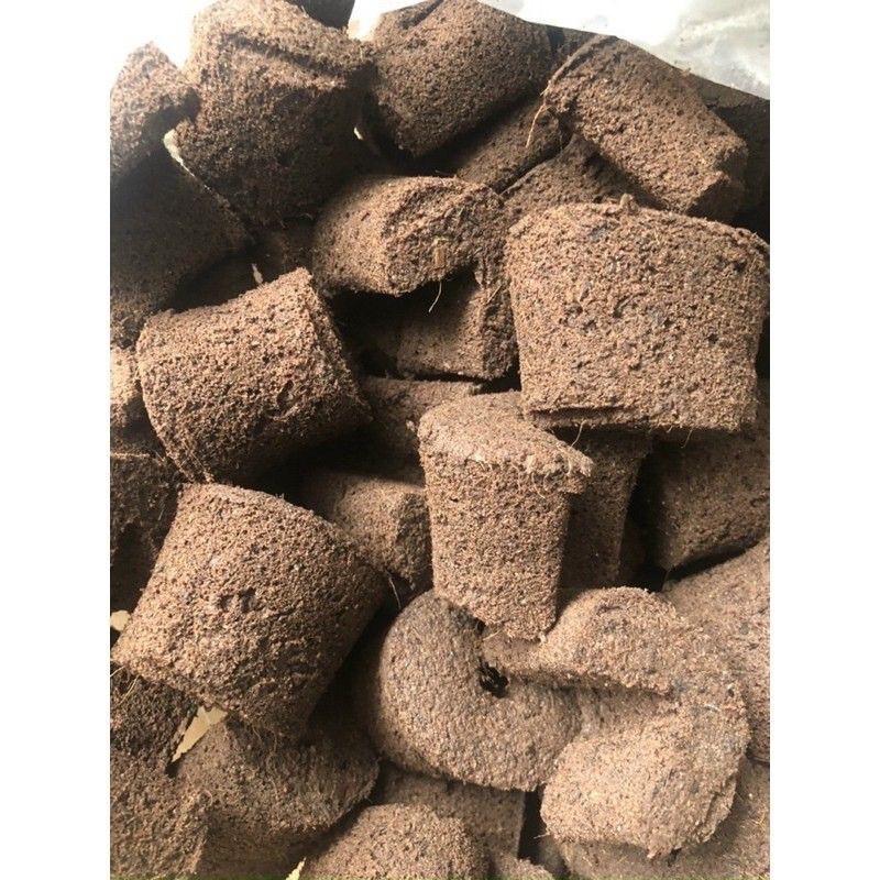 5 Viên Mút Ươm Kie Hữu Cơ Lan Phi Điệp