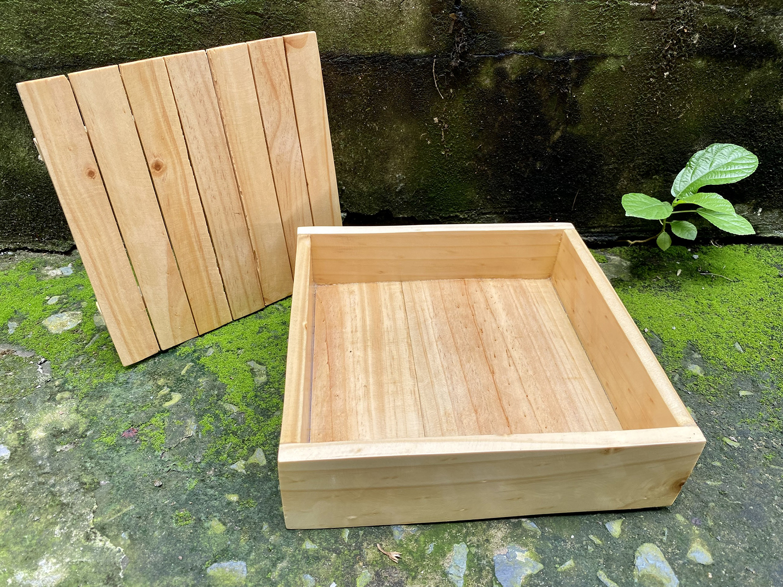 Khay vuông gỗ 30cm trang trí nhà hàng