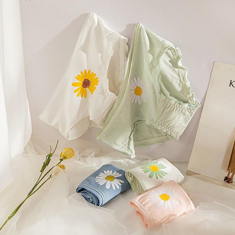 Quần Lót Nữ Cotton Cúc Họa Mi Thời Trang Ngang Eo (Q278). Hàng Loại Đẹp.