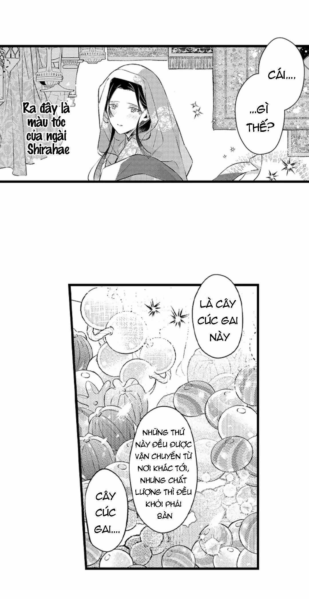 điểu thượng minh hoa chapter 13.1 11