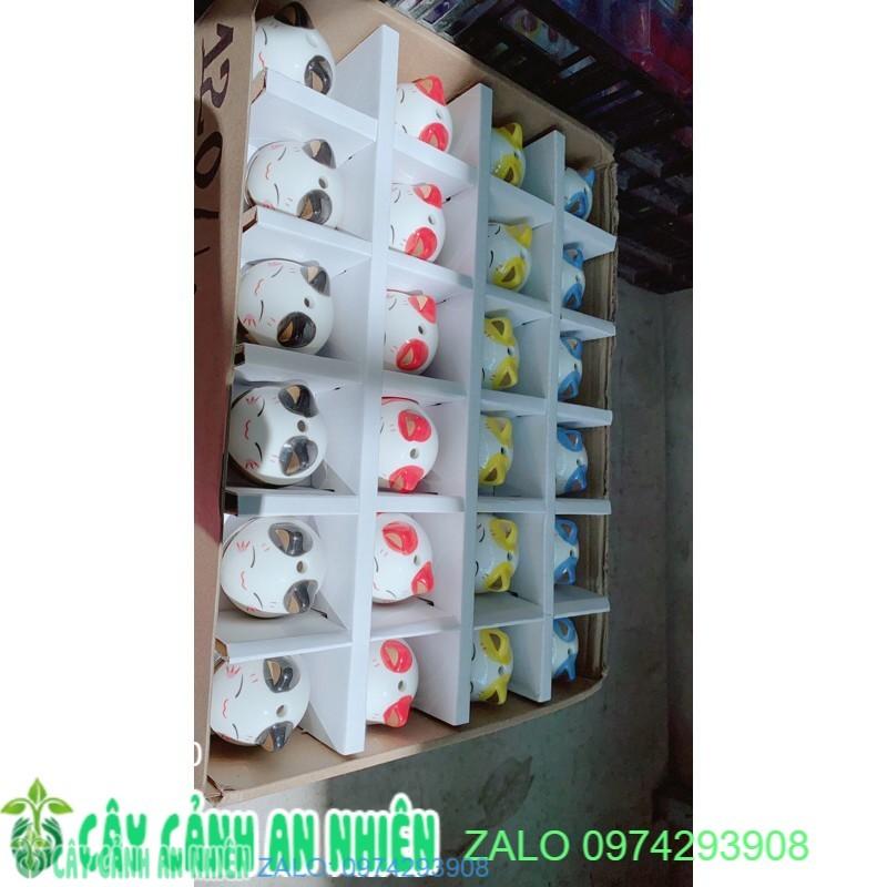 Mèo Tài Lộc 70k/con