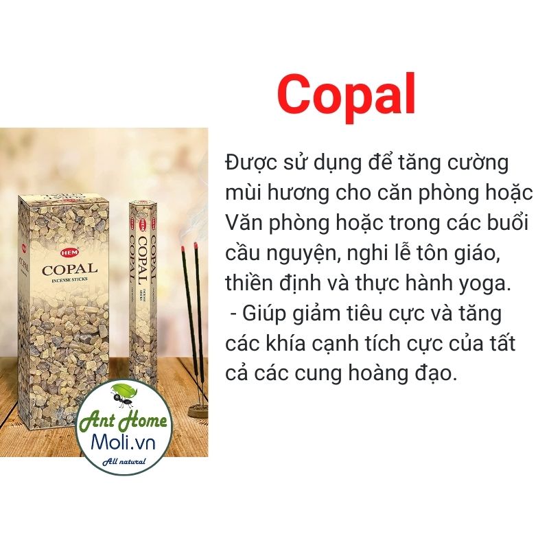 Nhang hương Ấn Độ cao cấp các loại bảo vệ nhà cửa