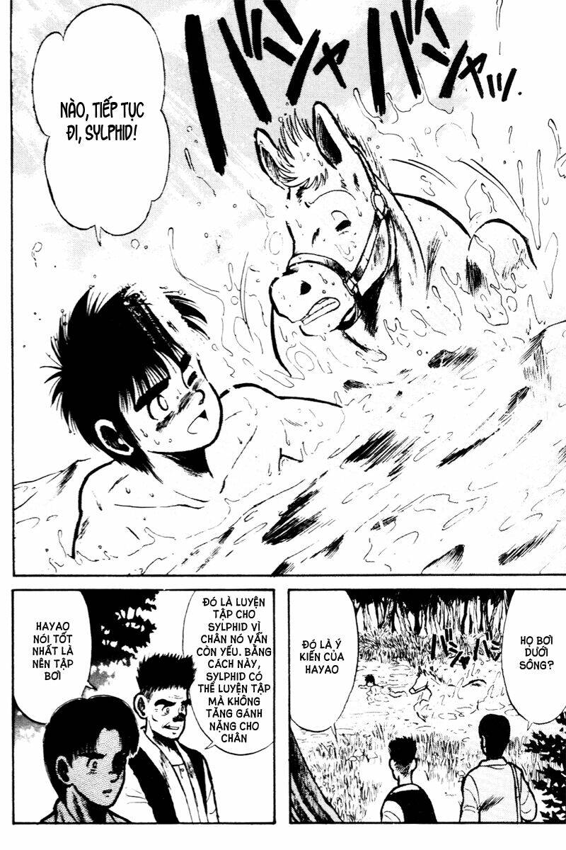 kaze no sylphid - phong mã silphid chapter 11 6