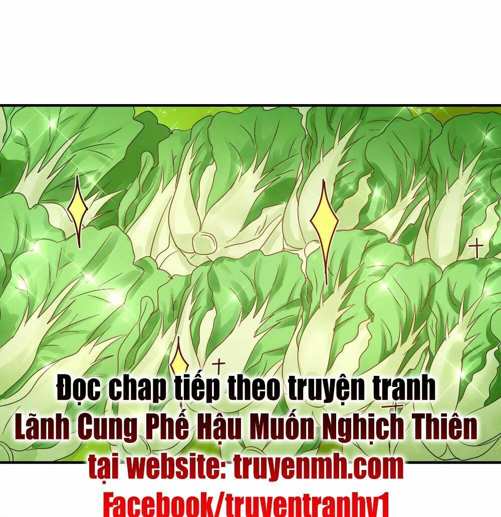 lãnh cung phế hậu muốn nghịch thiên chapter 147 19
