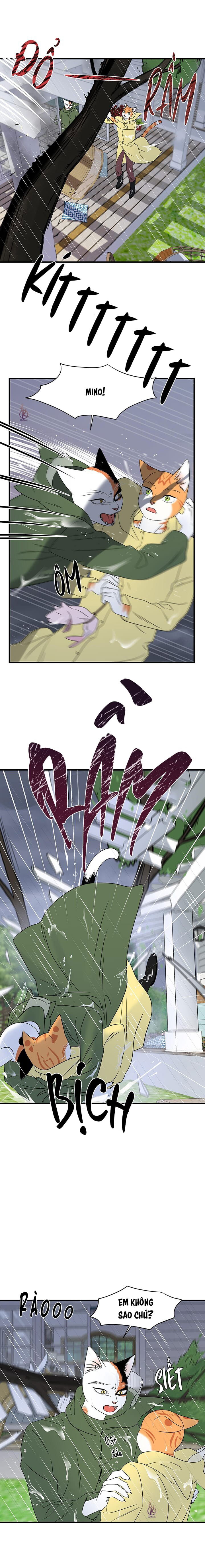 dự án xanh chapter 46 15