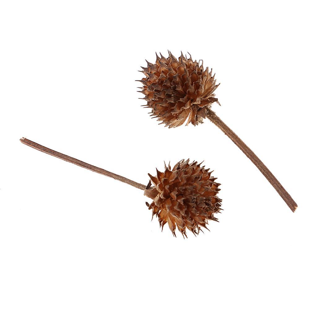 50pcs Mini Dried Flowers Fruits DIY Candy Box Christmas Wedding Decorations