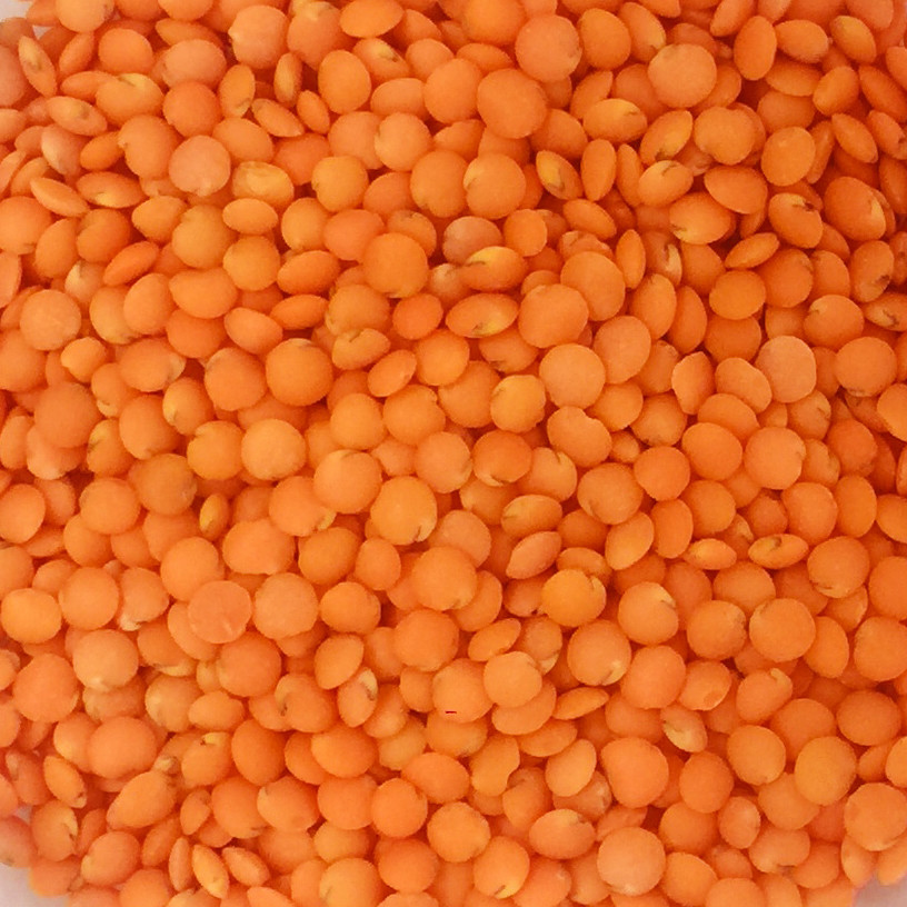 Đậu lăng đỏ tách vỏ Red Lentils