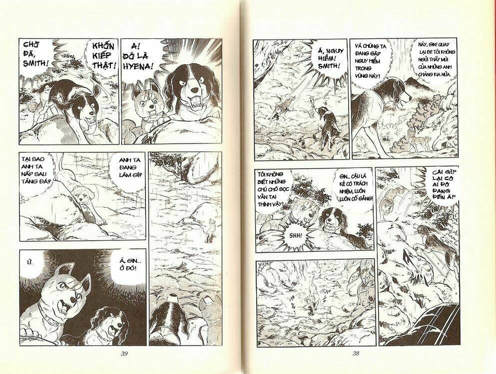 chú chó có nghĩa - ginga nagareboshi gin chapter 13 15