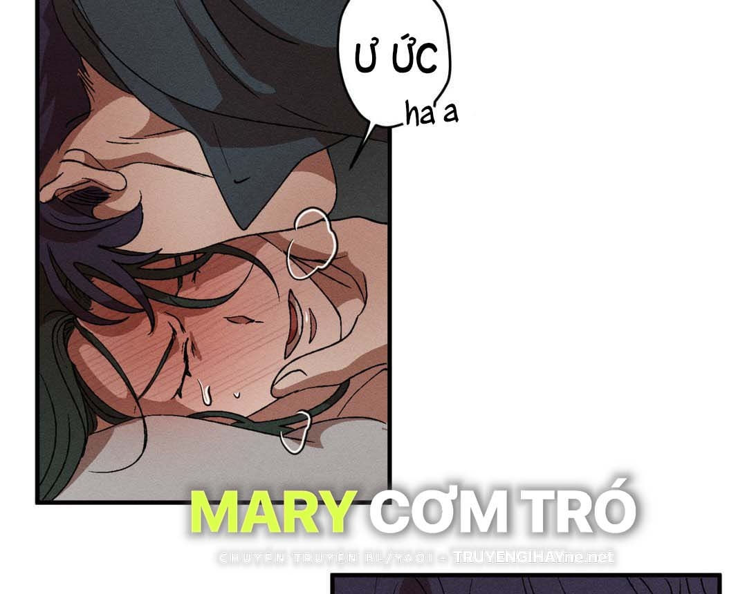 bẫy kép chapter 33.2 53