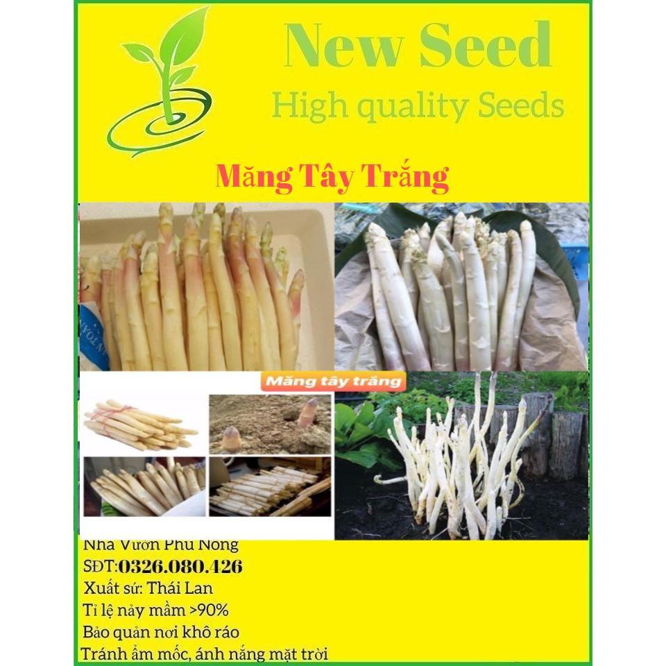 Hạt giống măng tây F1 (100 hạt) dễ trồng thu hoạch quanh năm 3 loại(Xanh, Tím, Trắng) cửa hàng hạt giống uy tín