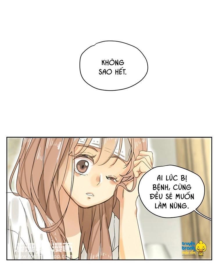 cứu mạng ! loài mèo thống trị thế giới rồi ! chapter 14 14