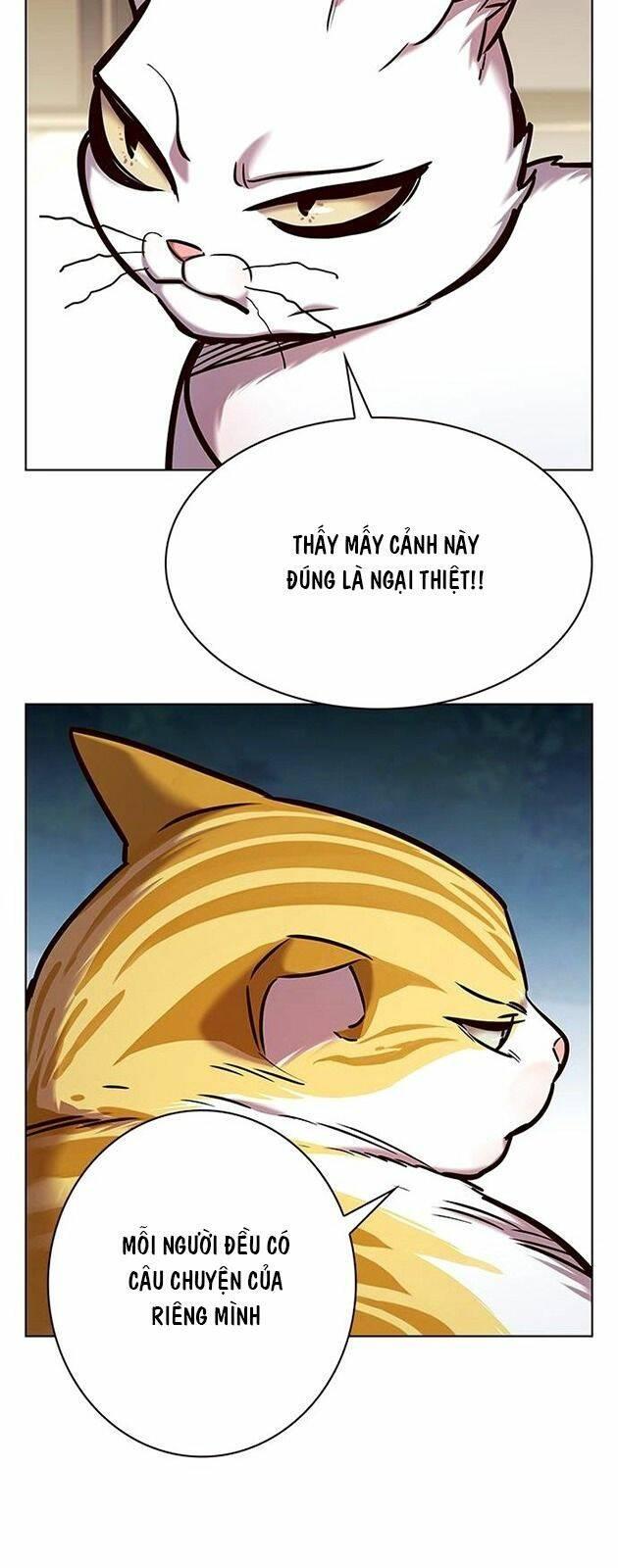 biến thân thành mèo chapter 227 2