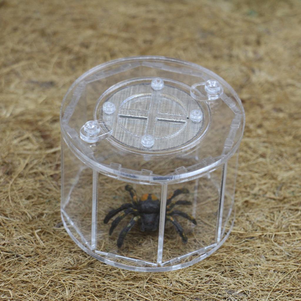 Acrylic Reptile Tank Vivarium Cage Spider / Grasshopper / Cricket Cage