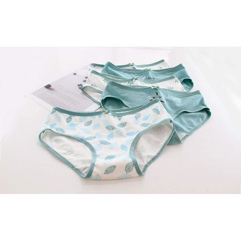 QUẦN COTTON HINH CHIẾC LÁ- 5 QUẦN 90K