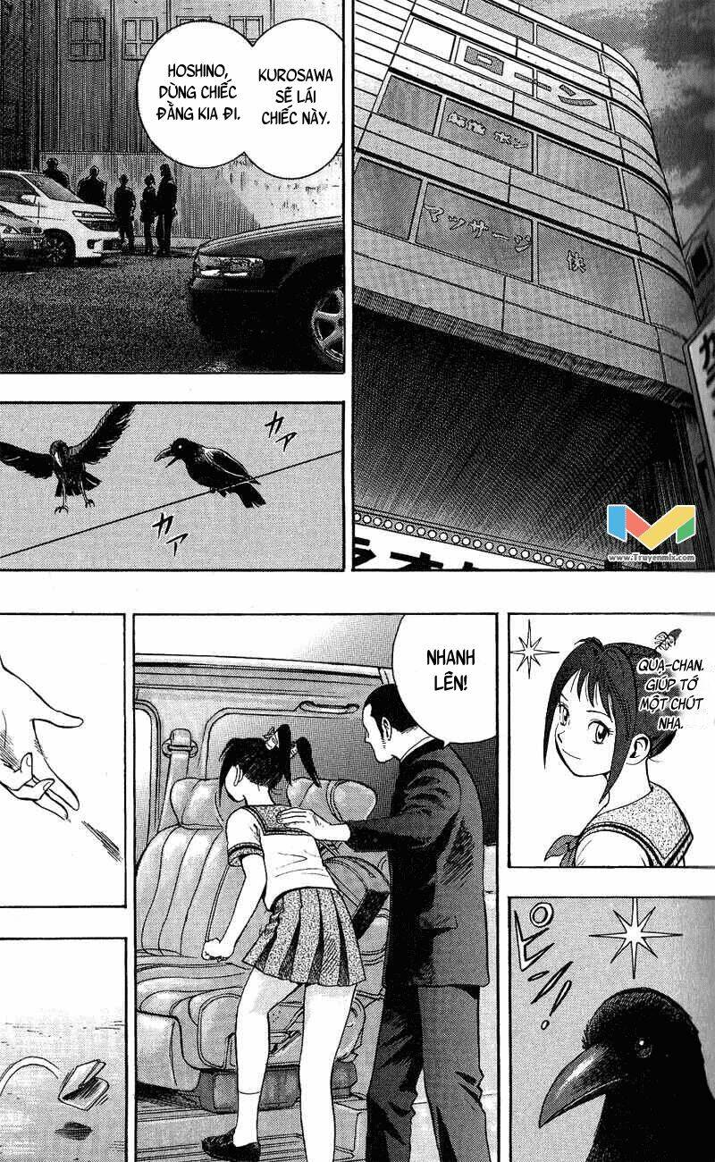 animal sense chapter 7 33