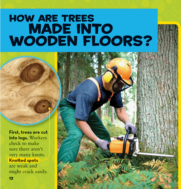 Sách ngoại văn: First Big Book of How (New Release)