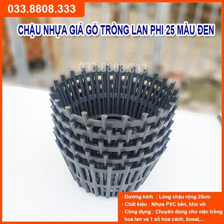 10 CHẬU TRỒNG LAN GIẢ GỖ PHI 25 - CHẬU THOÁT NƯỚC TỐT