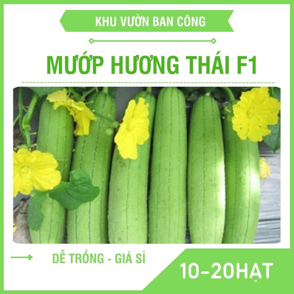 Hạt Giống Mướp Hương Việt Nam F1 Dễ Trồng Qủa Thơm Quy Cách 10 - 1 Hạt - Khu Vườn Ban Công