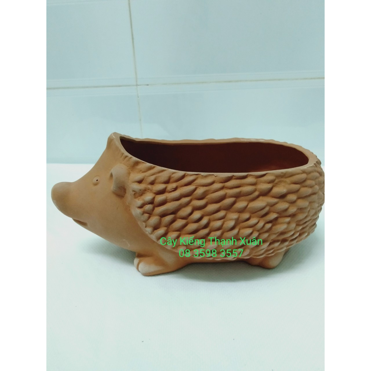 Chậu trồng cây, Chậu đất nung hình con nhím lớn có lỗ thoát nước trồng sen đá xương rồng mini , kích thước miệng chậu ngang 10x Rộng 15cm, Rộng lồng trong 20cm