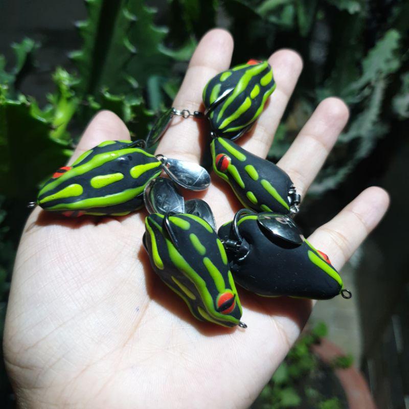 Nhái hơi Thái Lan Poison Frog / Chìm và nổi