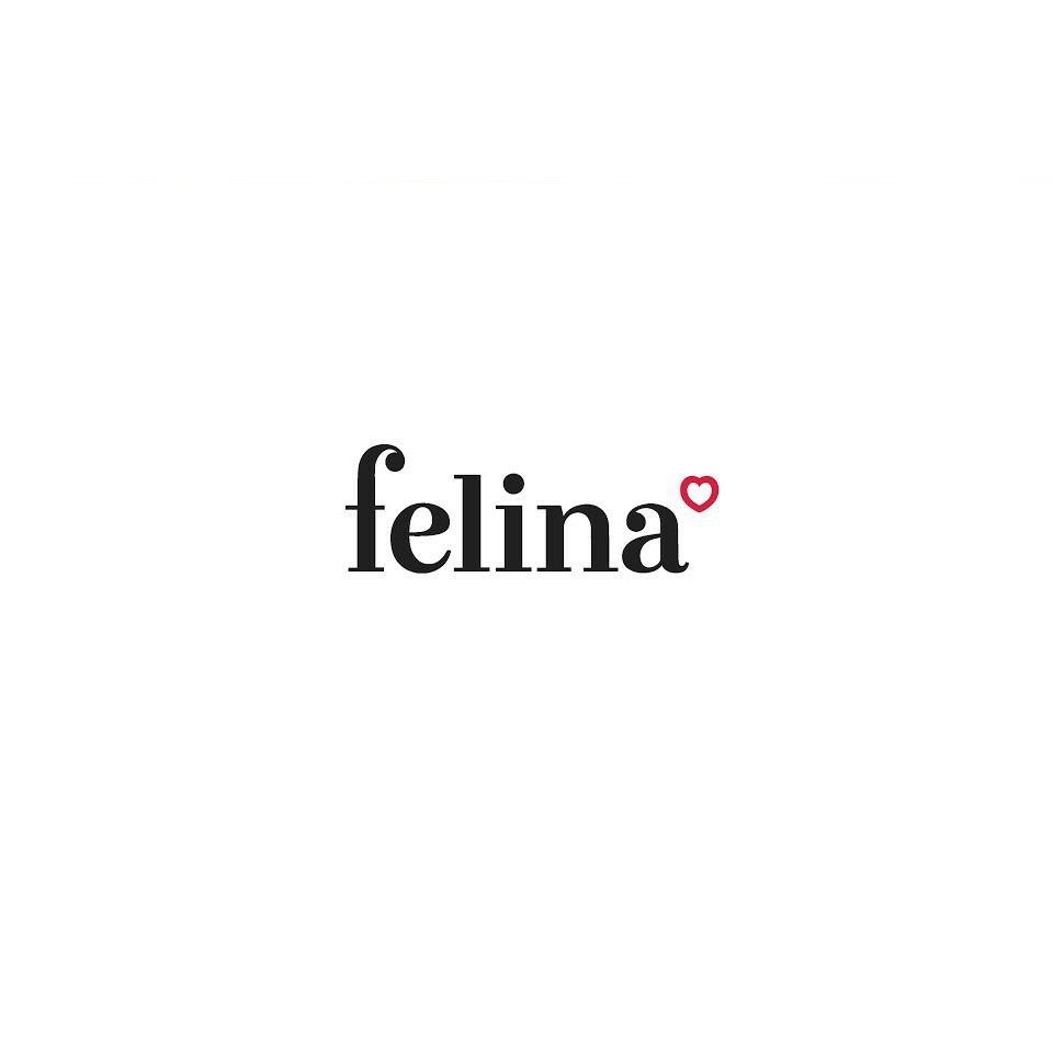 SƠN BÓNG GƯƠNG FELILA 3 TRONG 1