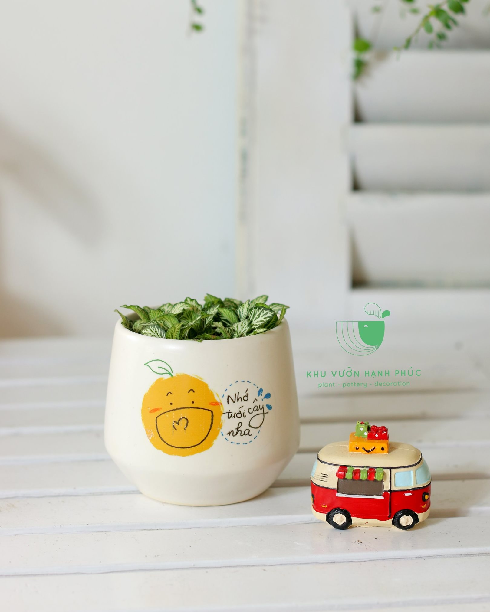 Chậu decor men gốm trồng cây mini, sen đá, xương rồng - Chậu cây quà tặng trồng sen đá -KVHP