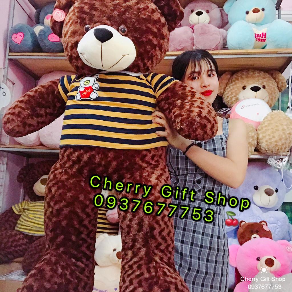 Gấu Bông Teddy Áo Thun Cao Cấp Giá Sốc 1m4 Ảnh Shop Chụp