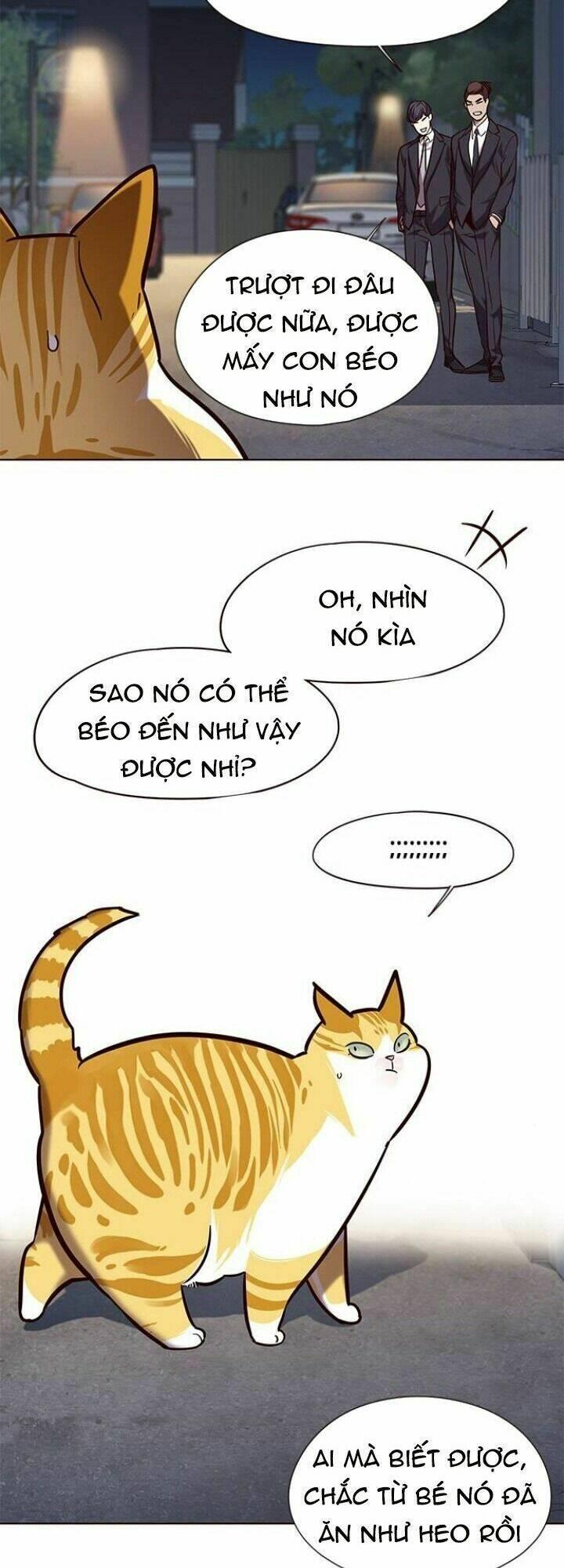 biến thân thành mèo chapter 105 12