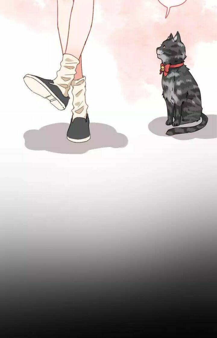 thập quang mật ngữ chapter 6 24