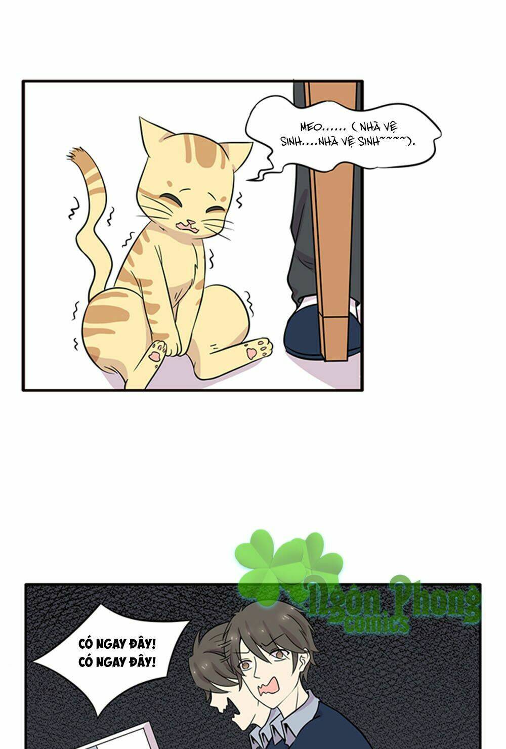 hai chú mèo totem chapter 15 11