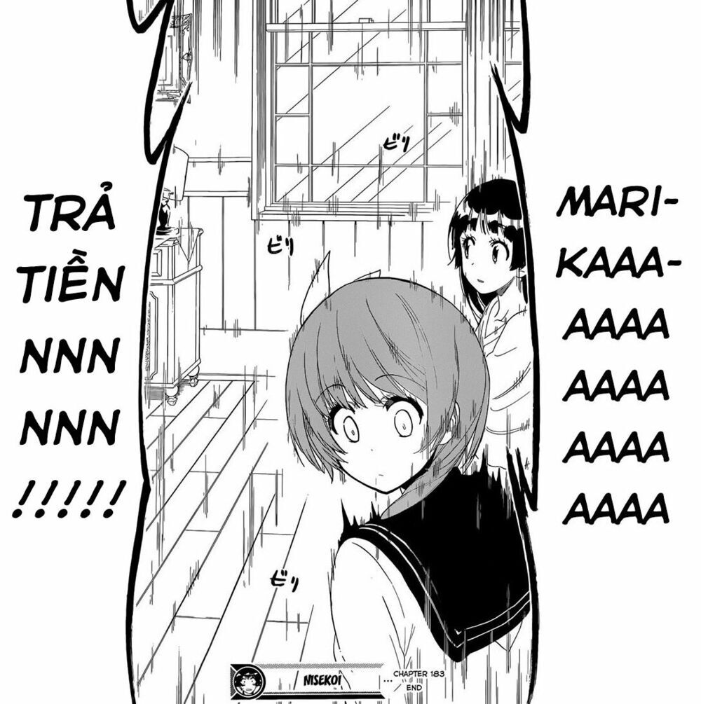 nisekoi - tình yêu giả tạo chapter 183 21