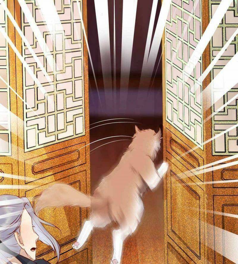 sát thủ vương phi không dễ chọc chapter 36 16