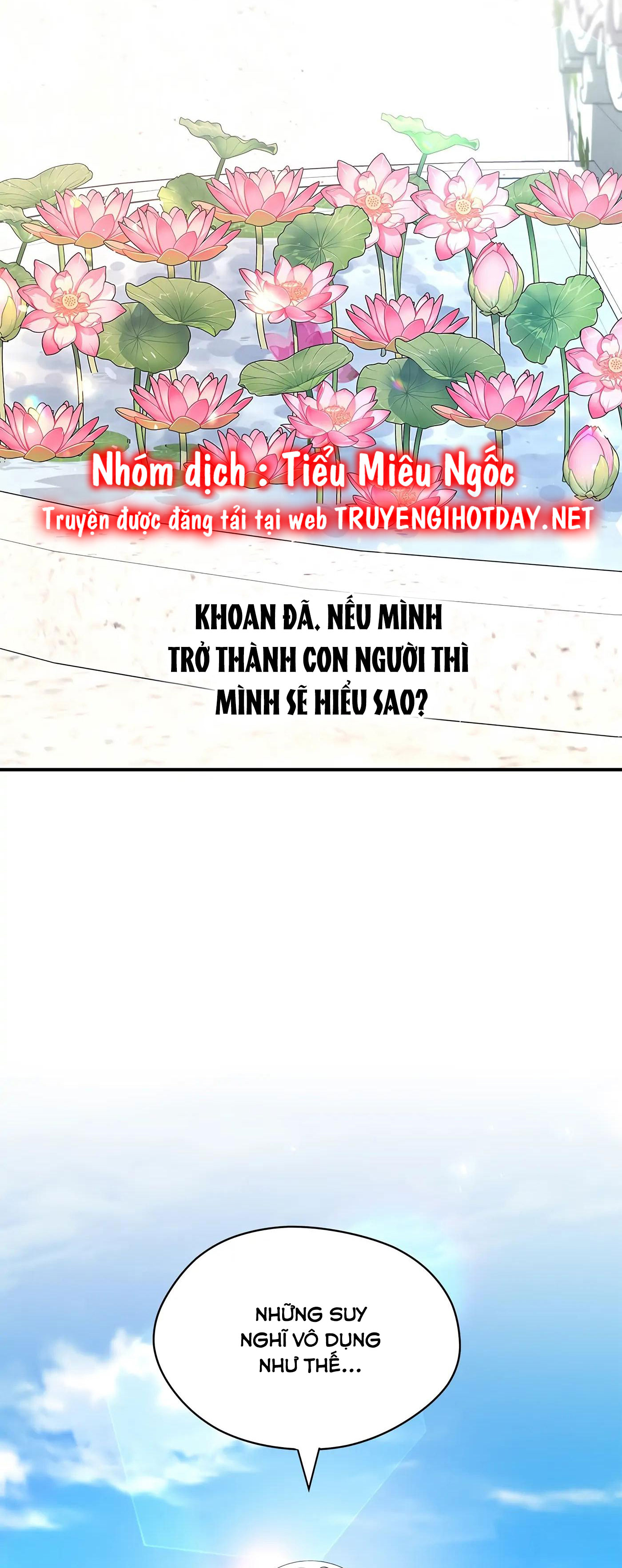 tôi không phải là nữ anh hùng chapter 36 5