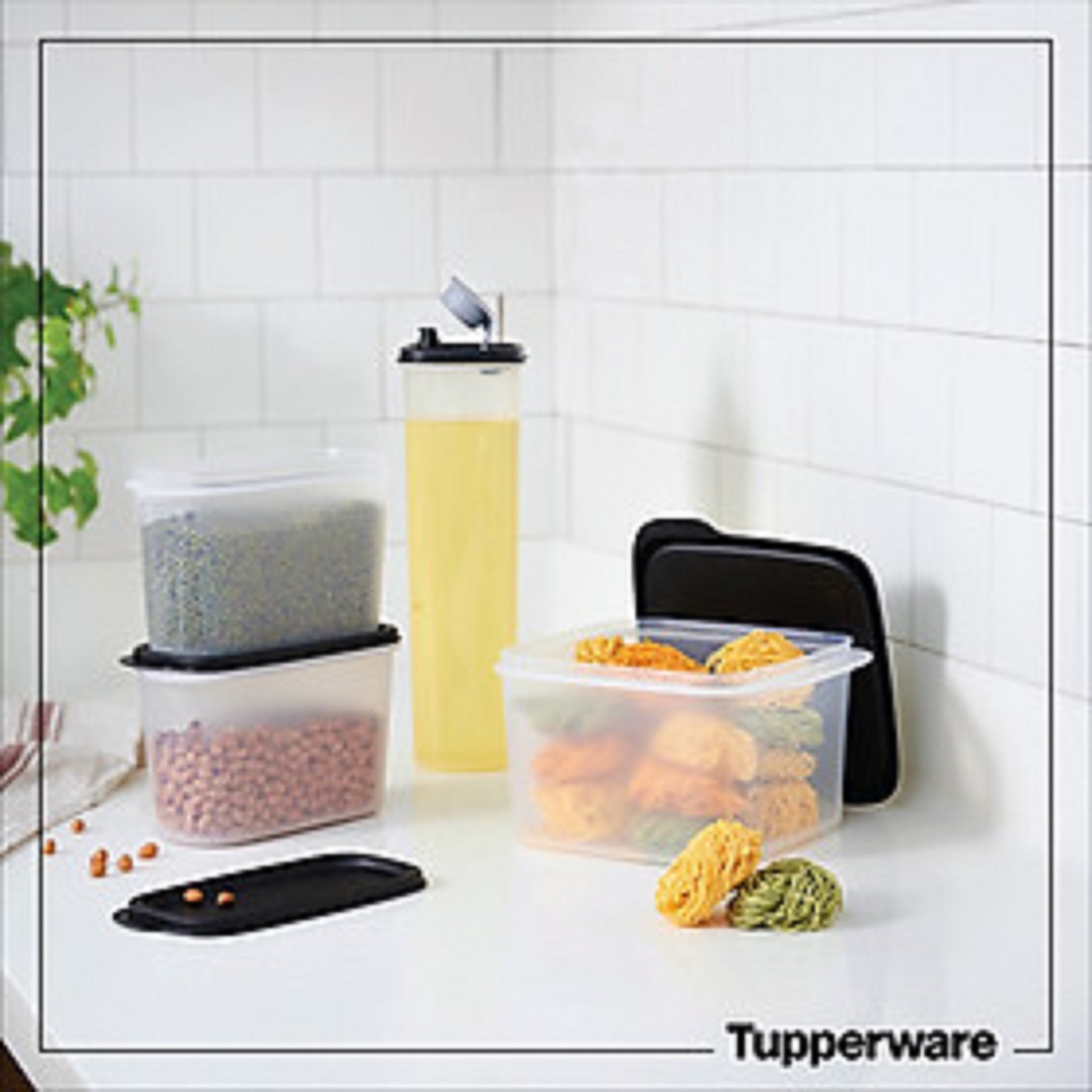 Bộ hộp kệ bếp Tupperware Urban Kitchen