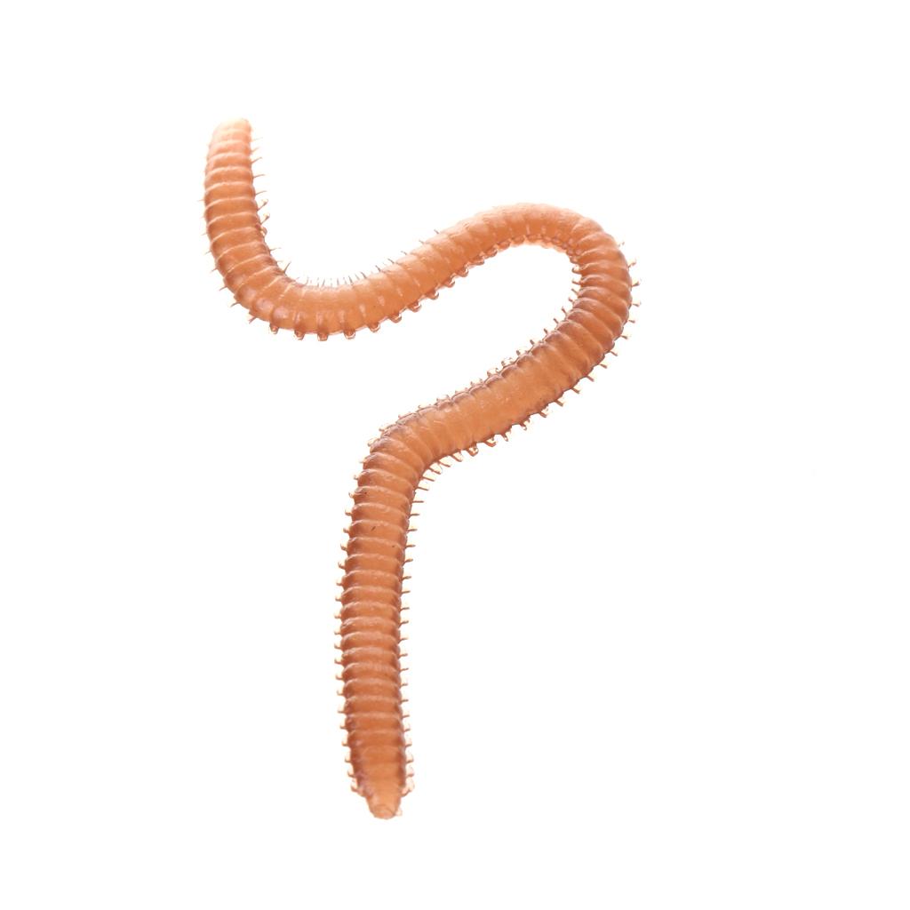 Soft Fishing Baits Crab Fishing Lures Earth Worm Lures 3D Simulation Artificial Baits