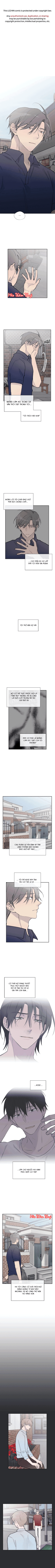 đừng viết nữa, tác giả thân mến! chapter 59 1