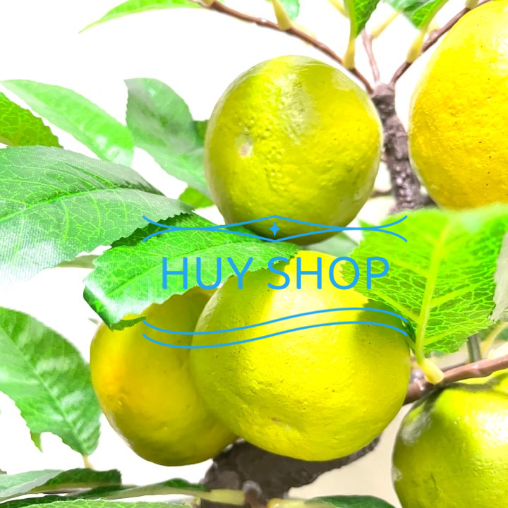 CHẬU CÂY TRÁI QUÝT VÀNG NHÂN TẠO TRANG TRÍ NHÀ CỬA