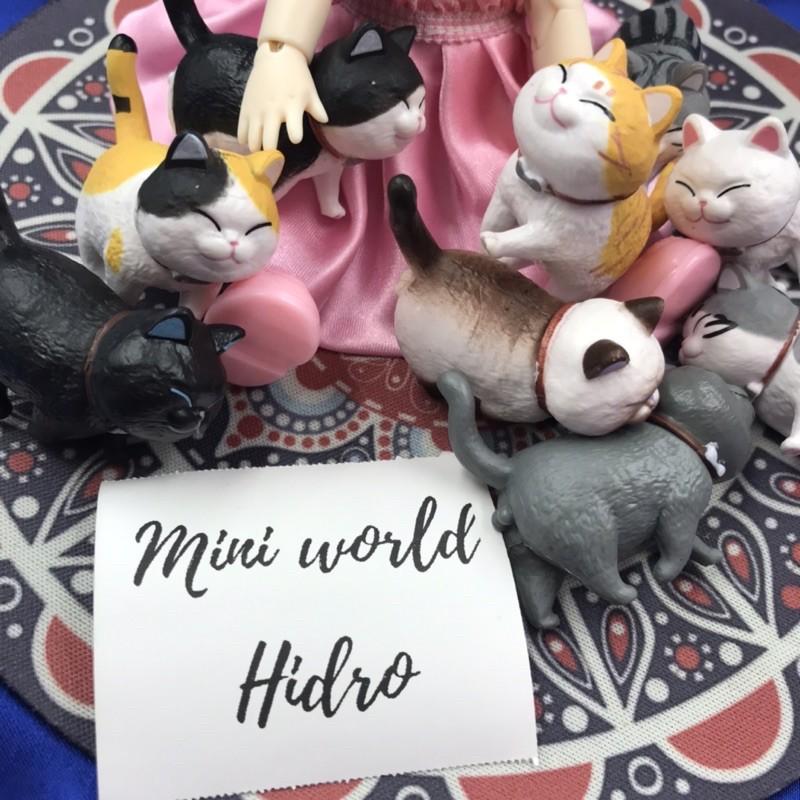 Combo mô hình bé mèo hoàng thượng tí hon mini cute mặt đánh yêu dành cho trang trí nhà búp bê Bb bjd tỉ lệ 1/8