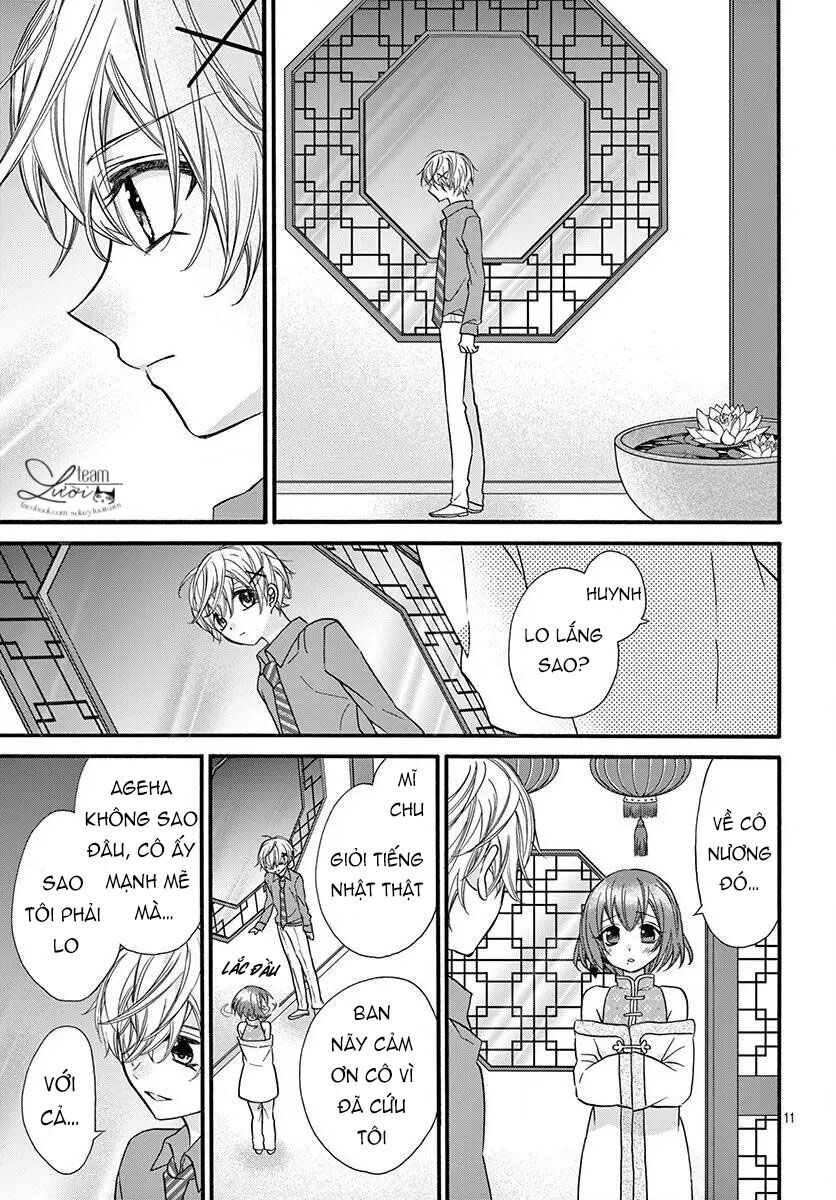 chàng rể giả nhân giả nghĩa chapter 11 11