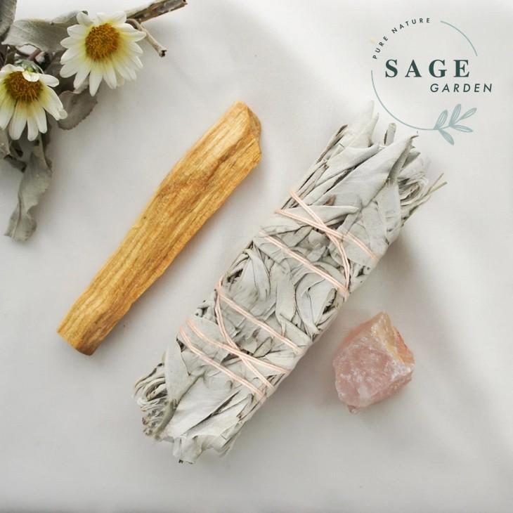 SET KHỞI ĐẦU _SAGE GARDEN