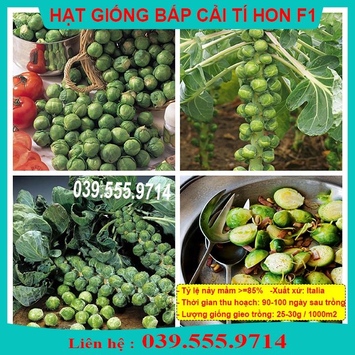 Hạt Giống Cải Bắp Mini Xanh