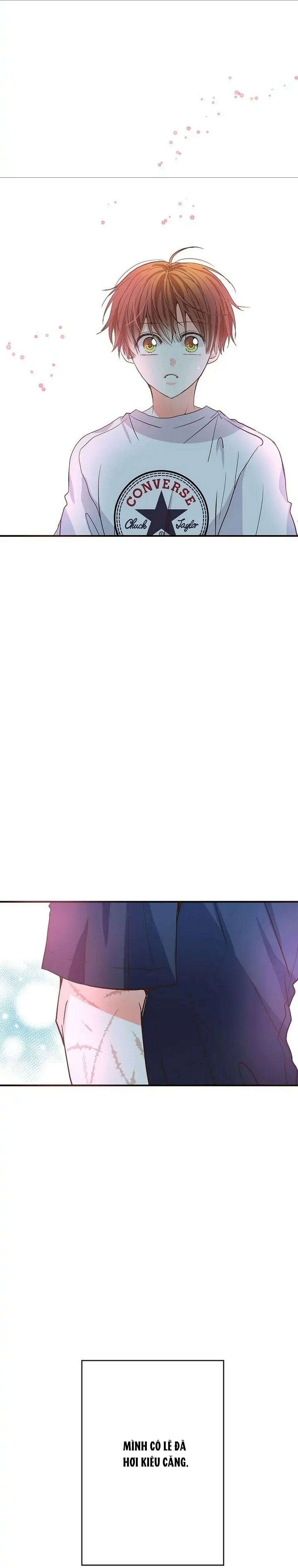 mối quan hệ phù hợp chapter 11 32