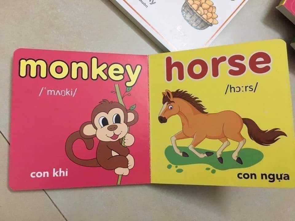 Flash card - Thu viện hình ảnh đầu tiên cho bé (8q)