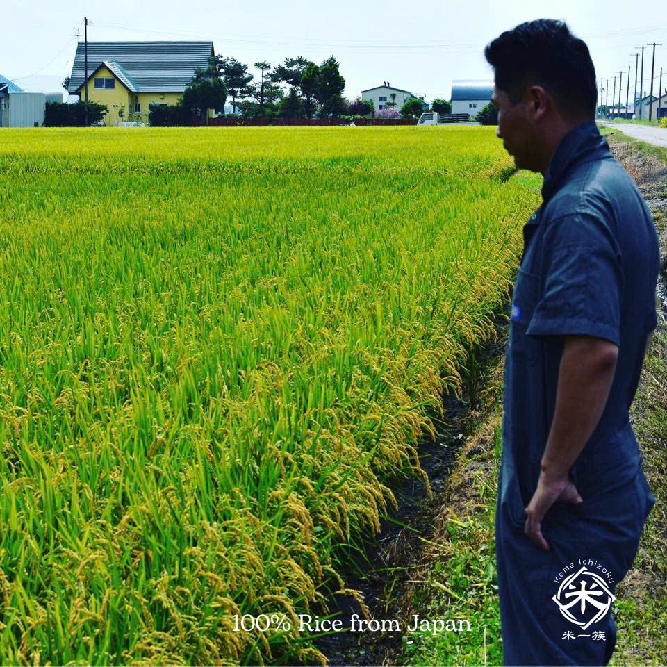 GẠO NHẬT NHẬP KHẨU HOKKAIDO SANSANMARU - GẠO TRẮNG , GẠO XÁT DỐI - HOKKAIDO SANSANMARU - KOME ICHIZOKU