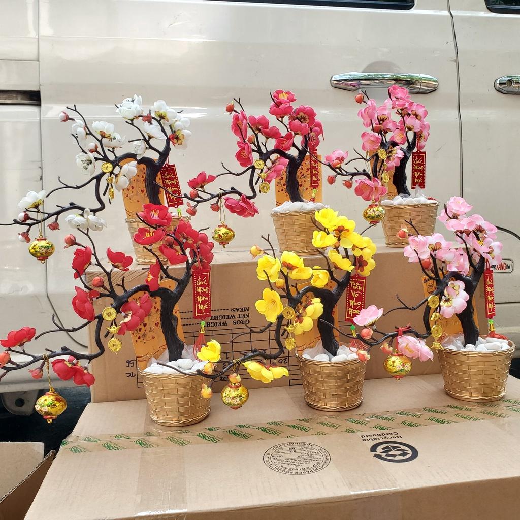 Chậu đào nhí giả dáng bon sai trang trí tết cao 25cm
